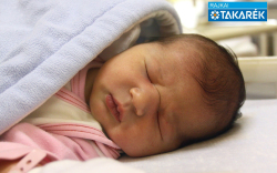 Pető Maja, Halászi