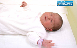 Vida Magdolna Viktória, Mecsér