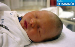 Kosztin Zsombor, Mosonmagyaróvár