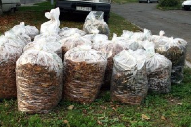 Zöldhulladék elszállítás