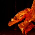 Japán Kert (Fotó: Horváth Attila)