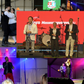 XI.Szigetköz ízei, Vármegye borai Fesztivál 1. nap