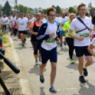 XIV. Greiner Szigetköz Félmaraton