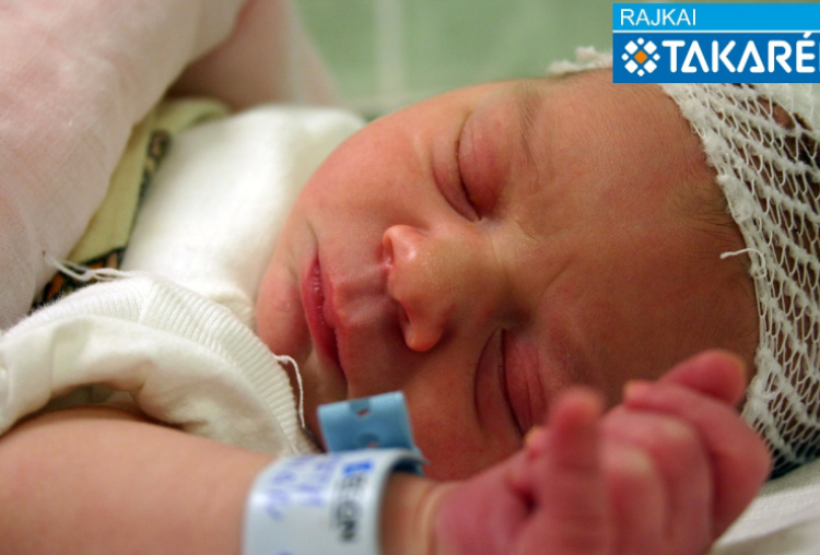 Németh Dorián, Mosonmagyaróvár