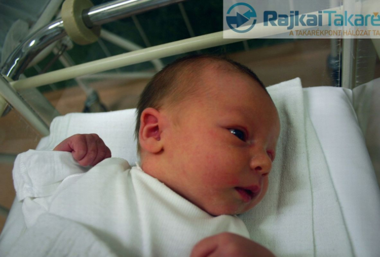 Galazka Maja, Jánossomorja