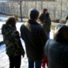 Madaras nap a Pillangó Óvoda és Mini Bölcsődében 