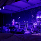 Virilista est 2015 Mosonmagyaróvár (Fotó: Horváth Attila)