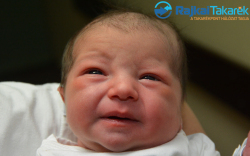 Meszlényi Lívia, 3250 gr. Mosonmagyaróvár