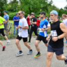 XII. Greiner Szigetköz Minimaraton (Fotó: Horváth Attila)