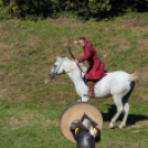 XII. Szigetköz ízei, Vármegye borai Fesztivál 2. nap