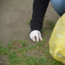 Szemét szedés (Fotó: Nagy Mária)