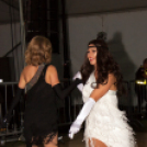 Szigetköz ízei, Vármegye borai Fesztivál - 1 nap