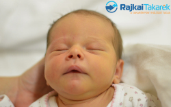 Nagy Kincső, 3480 gr. Jánossomorja