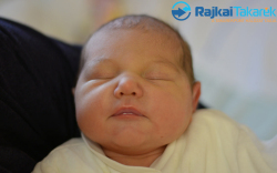 Felber Bella, 3290 gr. Püski