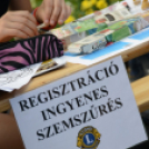 KULT-UTCA - Egészségnap másképp