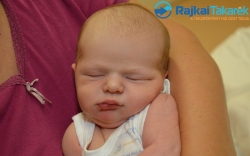 Botló Zalán, 3660 gr. Kimle