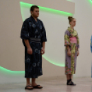 Japán nap a Flesch Központban