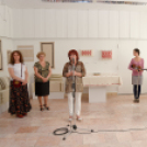 A tű varázsa (Fotó: Horváth Attila)