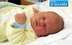 Mezei Zoé, Mosonmagyaróvár