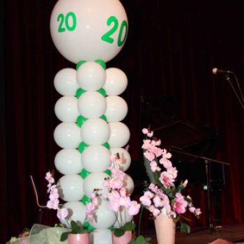 Nők a Városért 20 éves Jubileumi Gála (Fotó: Stipkovits Veronika)