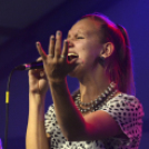 XI. Szigetköz ízei, Vármegye borai Fesztivál 2. nap Színpad