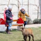 Húsvét a Pillangó Óvoda és Minibölcsiben 