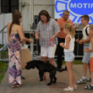 XII. Szigetköz ízei, Vármegye borai Fesztivál 3. nap