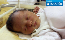 Varga Panka, Bősárkány