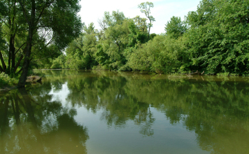 Tanácsok vízen túrázók részére 