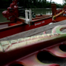 Voluta 2 nap (Fotó: Stipkovits Veronika és Bánhegyi István)