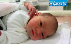 Németh Emili, Szany