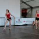 Szigetköz ízei, Vármegye borai Fesztivál 3 nap, 140 Éves Mosonmagyaróvár Város Tűzoltósága (Fotó: Bánhegyi István)