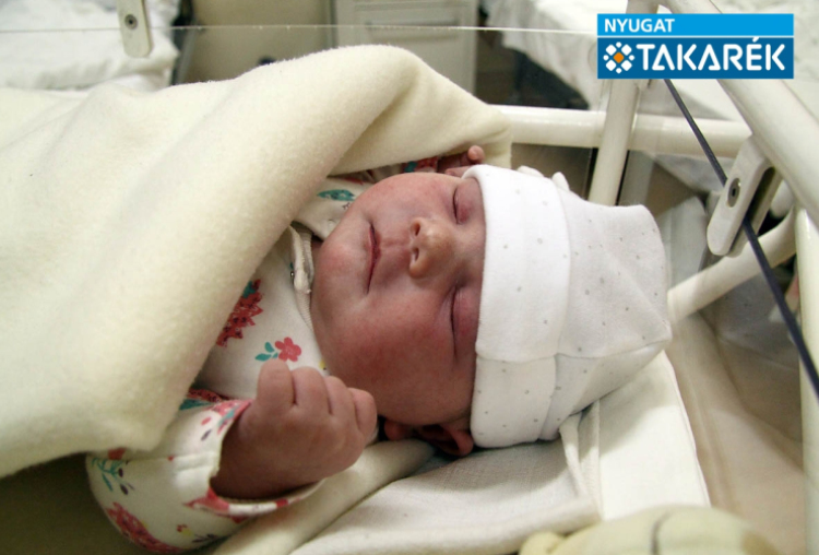 Jurácsik Olívia, Levél