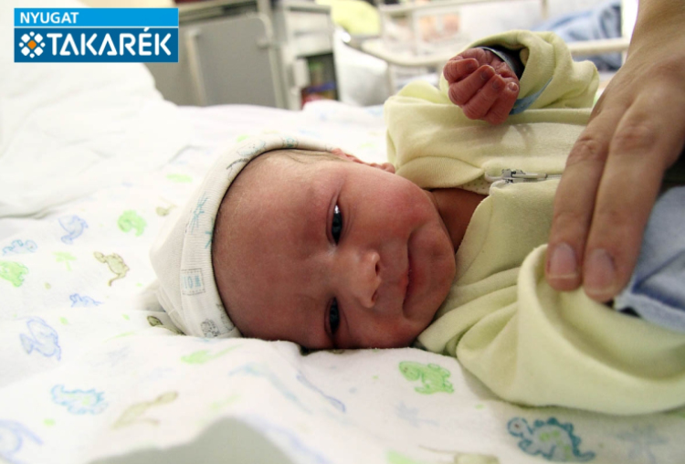 Schneider Botond, Rajka