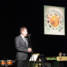 II. Dobos és Ütőhangszeres nap