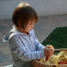 Pillangó Óvoda és Mini Bölcsőde - Szent Mihály nap