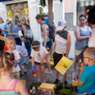 Apró kezek, Csodakertek - IX. Gyermek Kertépítő Verseny