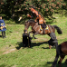 XII. Szigetköz ízei, Vármegye borai Fesztivál 2. nap