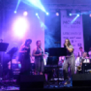 Tiszta Amerika - Vár-tó party