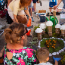 Apró Kezek, Csodakertek