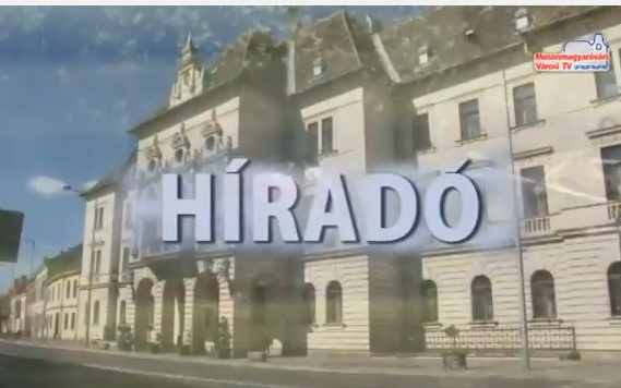 Hamarosan szúnyoggyérítés 