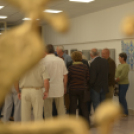 Szigetközi tájak és hangulatok