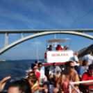 A Kühne Koncert Fúvószenekar külföldi vendégszereplése