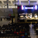 Dan Hrvata, Horvát Nap