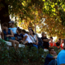 XI. Szigetköz ízei, Vármegye borai Fesztivál 2. nap Várárok