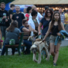 Friss Fesztivál szombat (Fotó: Nagy Mária)