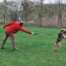 Nyílt nap a Kutya Iskolában (Fotó: Nagy Mária)