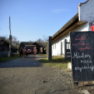 Szentendrén jártunk a Lajta Néptánc Együttessel
