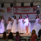 Vármegye szépe verseny 2 (Fotó: Nagy Mária)