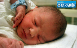 Demjén Zalán, Bősárkány